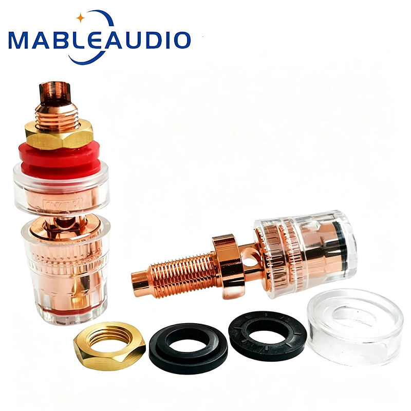 Terminal de Áudio HIFI EIZZ EZ - Diy Speaker avaliação e preço