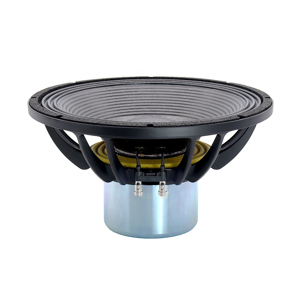 Novo Alto-Falante Profissional - Subwoofer avaliação e preço